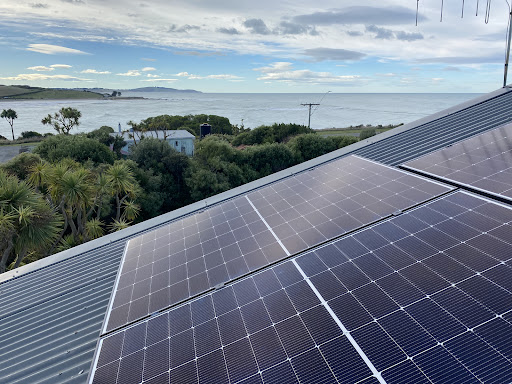 Greyhound Electrical