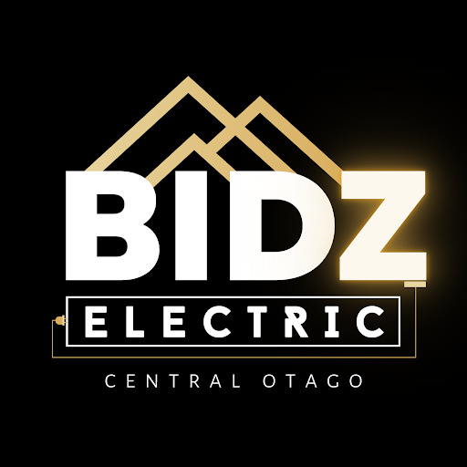 BidzElectric