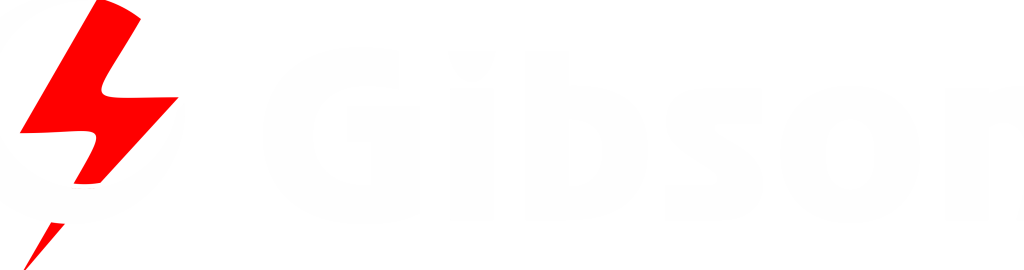 gibson electric whangarei