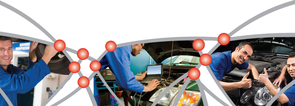kawakawa auto services